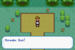 Первый лидер стадиона. Прохождение Pokemon Gaia на русском