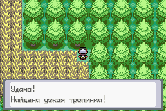 Узкая тропинка