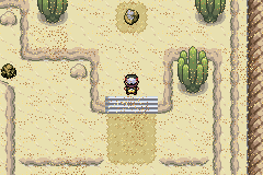 Окаменелость в Каньоне Икоса