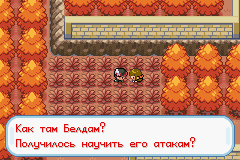 Редкие покемоны Pokemon Gaia Обмен Белдам