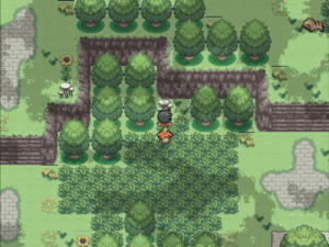 Прохождение Pokemon The Slowpoke Shack поиск еды