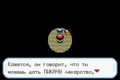 Сквиртл в очках