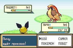 Вот это встреча