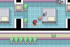Прохождение Pokemon Elysium A логово нужный портал
