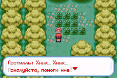 Нашлась пропажа